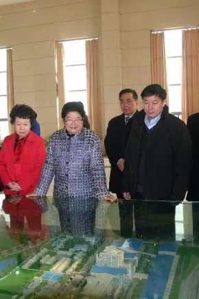 2011年12月14日，第十屆全國人大常委會副委員長顧秀蓮、中國石油和化學工業聯合會長李勇武等參加銅化集團成立20周年慶典，蒞臨公司視察。