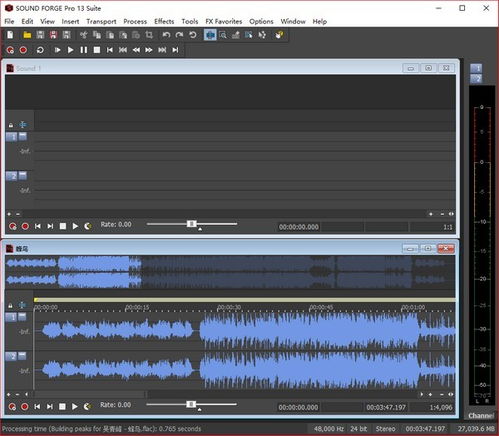 Magix Sound Forge Pro 13 Suite 專業音頻混音與錄音制作的終極工具